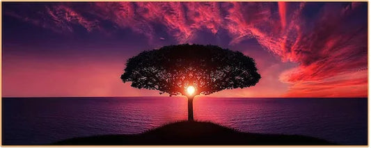 arbre de vie avec la mer et le coucher de soleil violet en arriere plan Kaosix