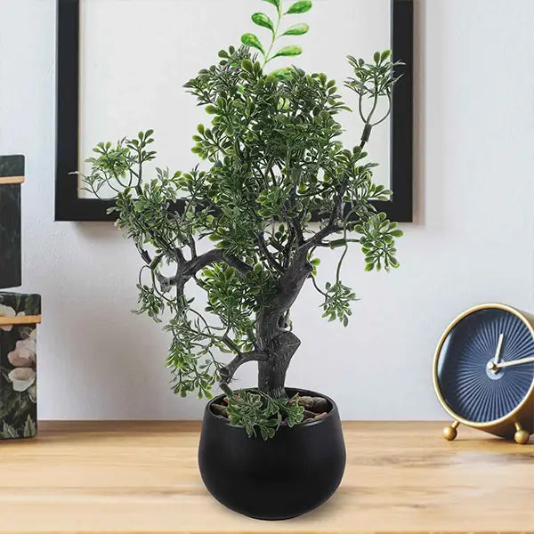 Faux Bonsaï d'Intérieur Arbre de Sérénité Feng Shui kaosix