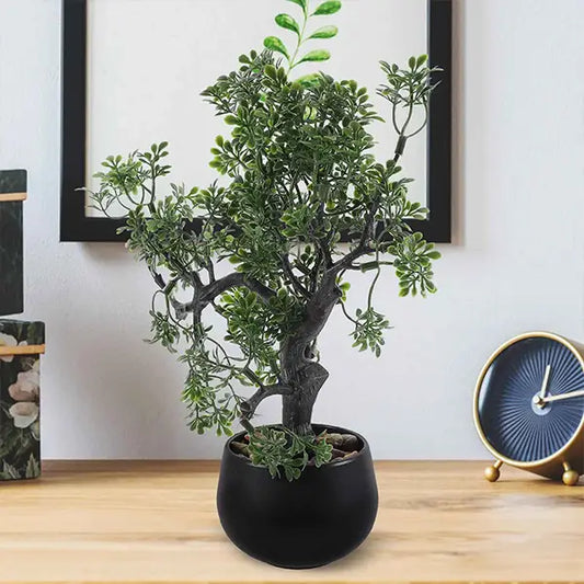 Faux Bonsaï d'Intérieur Arbre de Sérénité Feng Shui kaosix