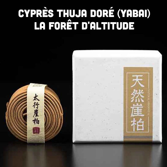 Spirales d'Encens Naturelles 2H (Boîte de 40 pcs)